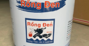 Sơn chống thấm Rồng Đen chống nứt tường