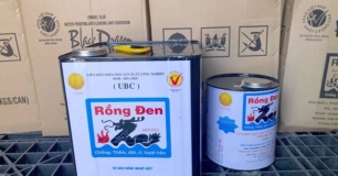 Sơn chống thấm Rồng Đen chống dột mái