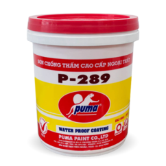SƠN CHỐNG THẤM CAO CẤP NGOẠI THẤT P-289 BỀ MẶT MỜ .